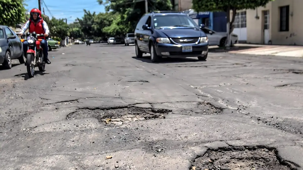 Baches Foto. Aurelio Magaña  (1)